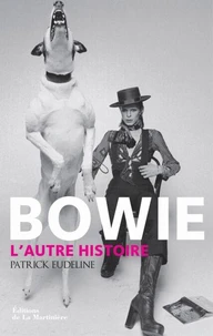 Bowie, l'autre histoire