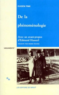De la Phénoménologie