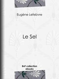 Eugène Lefebvre - Le Sel.