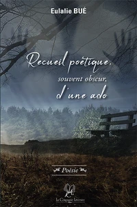 Recueil poetique, souvent obscur, d'une ado