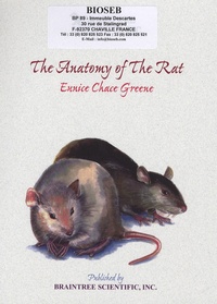 Eunice Chace Greene - The Anatomy of the Rat.