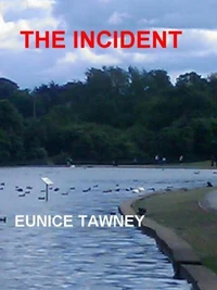 The Incident