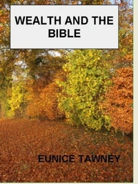 Wealth And The Bible