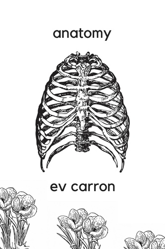  Ev Carron - Anatomy.