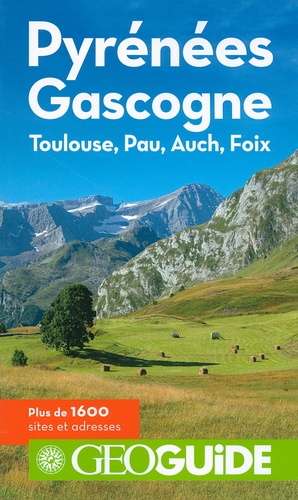 Pyrénées Gascogne. Toulouse, Pau, Auch, Foix 6e édition