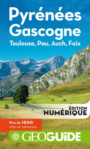 Pyrénées Gascogne. Toulouse, Pau, Auch, Foix 6e édition