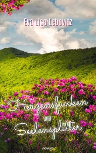 Herzensfunken und Seelensplitter
