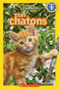 Les chatons