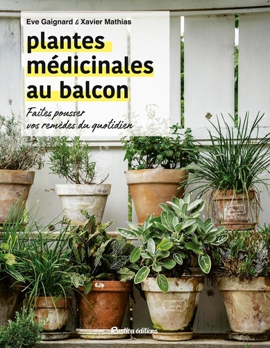 Plantes médicinales au balcon. Faites pousser vos remèdes du quotidien