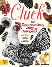Cluck!