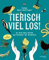 Tierisch viel los!