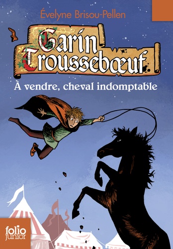 Garin Trousseboeuf  A vendre, cheval indomptable