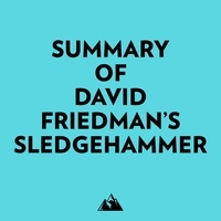  Everest Media et  AI Marcus - Summary of David Friedman's Sledgehammer.