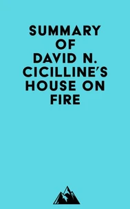 Summary of David N. Cicilline's House on Fire