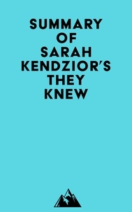  Everest Media - Summary of Sarah Kendzior's They Knew.