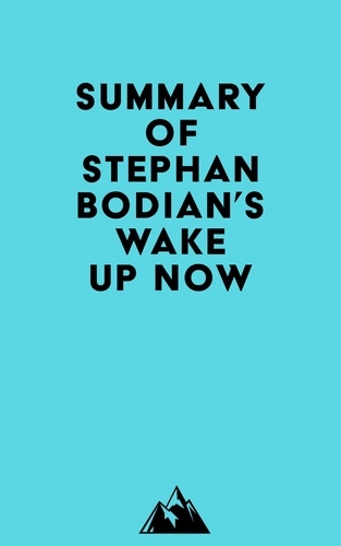  Everest Media - Summary of Stephan Bodian's Wake Up Now.