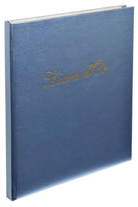 Livre d'Or SHINY 21X19 papier irisé tranche or coloris ass.