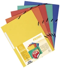 RDC Lot de 7+3 chemises carte lustrée