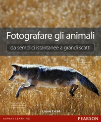 Fotografare gli animali da semplici istantanee a grandi scatti