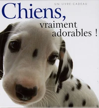 Chiens, vraiment adorables !