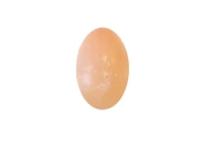 Oeuf en Sélénite Orange