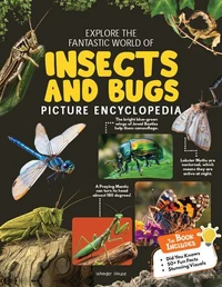 Explore Fantastic World of Insects And Bugs Picture Encyclopedia