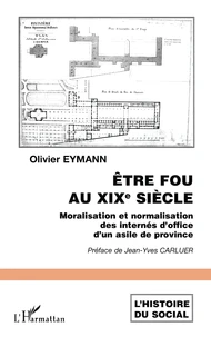 Etre fou au XIXe siècle