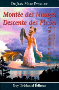 Montee Des Nuages, Descente Des Pluies. Une Approche De La Conception Dynamique D'Ensemble Du "Triple Rechauffeur", Coordinateur Des Visceres En Medecine Chinoise