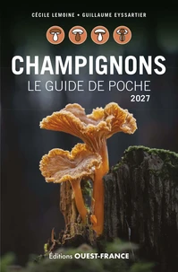 Champignons
