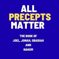 All Precepts Matter
