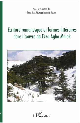 Ecriture romanesque et formes littéraires dans l'oeuvre de Ezza Agha Malak
