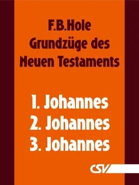 Grundzüge des Neuen Testaments - 1., 2. &amp; 3. Johannes