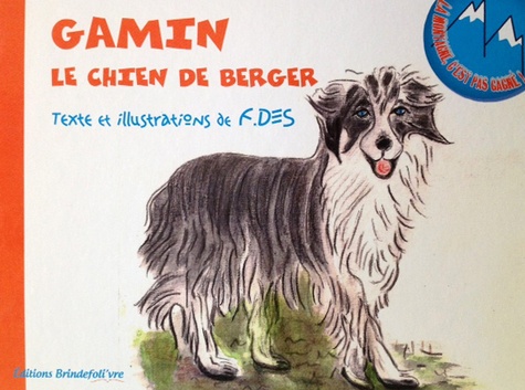  F.Des - Gamin, le chien de berger.