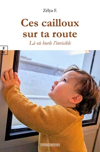 Ces cailloux sur ta route