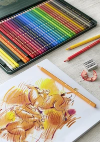 Cray. polychromos boîte métal 36