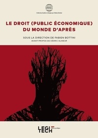 Fabien Bottini - Le droit (public économique) du monde d'après.