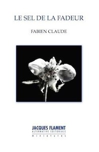 Fabien Claude - Le sel de la fadeur.