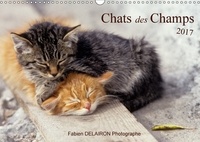 Fabien Delairon - Chats des Champs (Calendrier mural 2017 DIN A3 horizontal) - 12 images de chats de campagne (Calendrier mensuel, 14 Pages ).