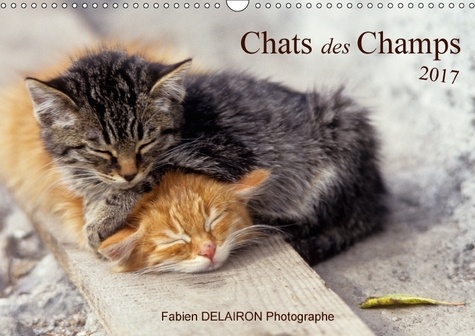 Chats des Champs (Calendrier mural 2017 DIN A3 horizontal). 12 images de chats de campagne (Calendrier mensuel, 14 Pages )