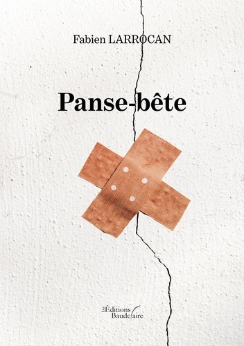 Panse-bête de Fabien Larrocan - Grand Format - Livre - Decitre