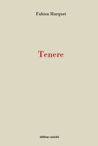 Téléchargement de livres audio sur mon iphone Tenere (Litterature Francaise) DJVU par Fabien Marquet 9782373553895