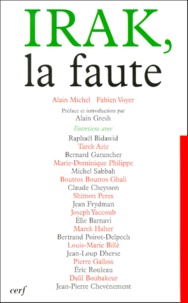 Fabien Michel et Fabien Voyer - Irak, la faute.