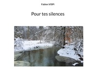 Fabien Vispi - Pour tes silences.