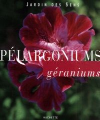 Fabienne Abergel - Pelargoniums. Geraniums.