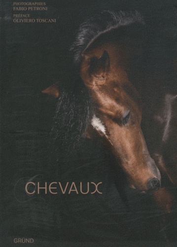 Fabio Petroni - Chevaux.