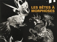 Fabrice Aimo-Alessi et Christine Chalard - Les bêtes à morphose - Art et soin psychique.