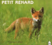 Fabrice Cahez - Petit renard.