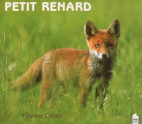 Fabrice Cahez - Petit renard.