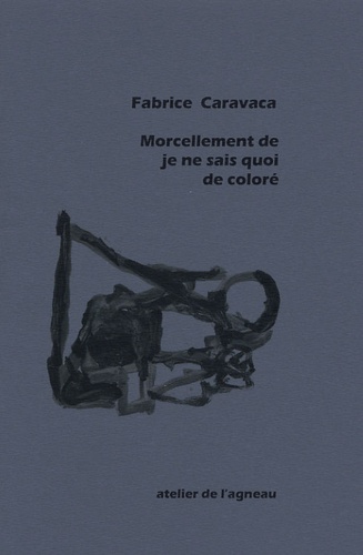 Fabrice Caravaca - Morcellement de je ne sais quoi de coloré.