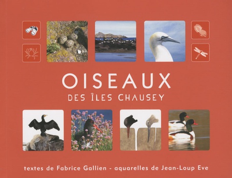 Fabrice Gallien - Oiseaux des îles Chausey.